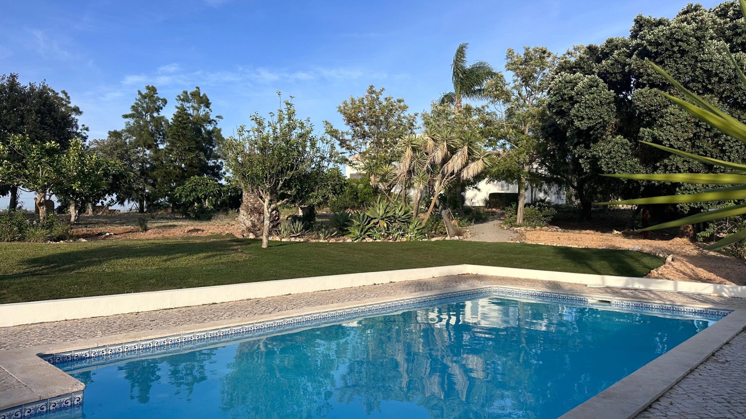 Casa Moondi saltwater pool surrounded by nature in Lagos, Algarve